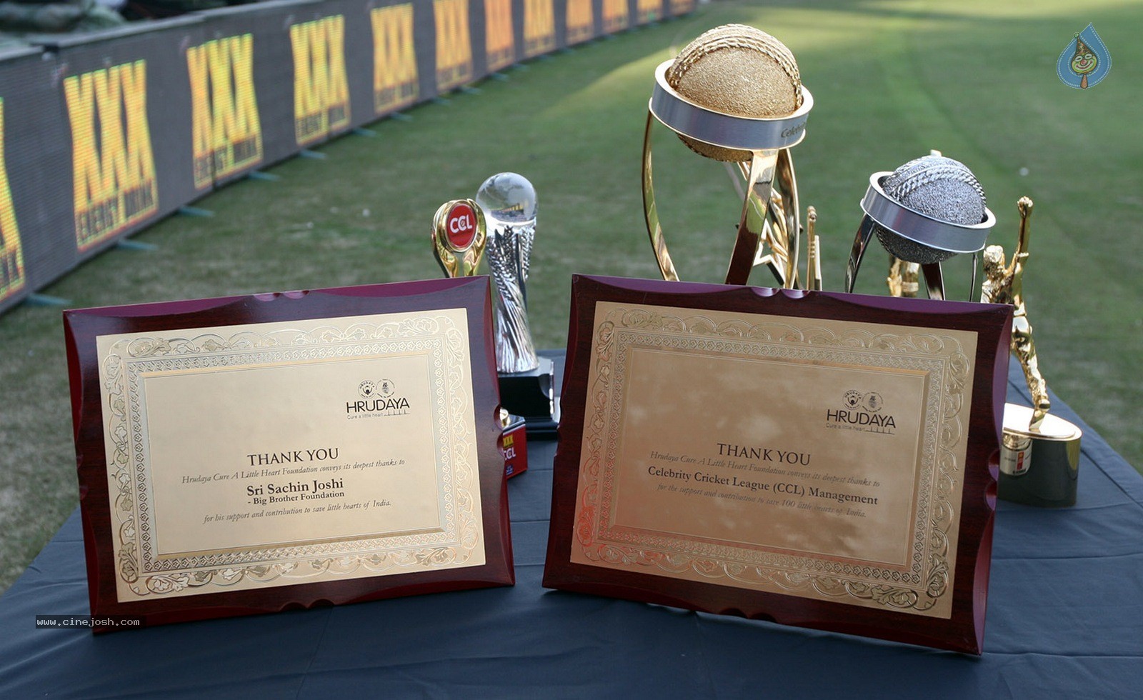 CCL 5 Final Telugu Warriors vs Chennai Rhinos Match Photos 02 - 37 / 195 photos