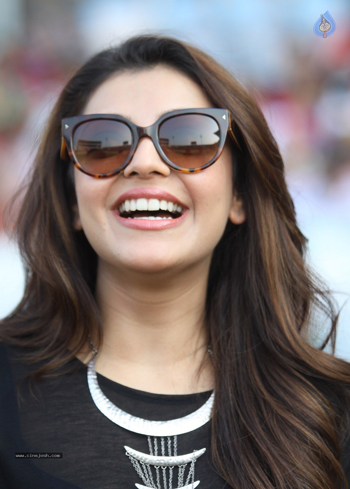 CCL 5 Final Telugu Warriors vs Chennai Rhinos Match Photos 02 - 108 / 195 photos