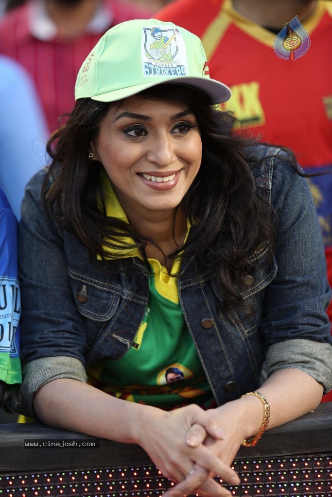 CCL 5 Telugu Warriors vs Karnataka Bulldozers Match Photos - 14 / 178 photos