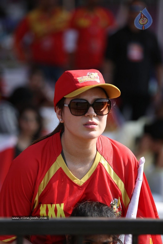 CCL 5 Telugu Warriors vs Karnataka Bulldozers Match Photos - 166 / 178 photos