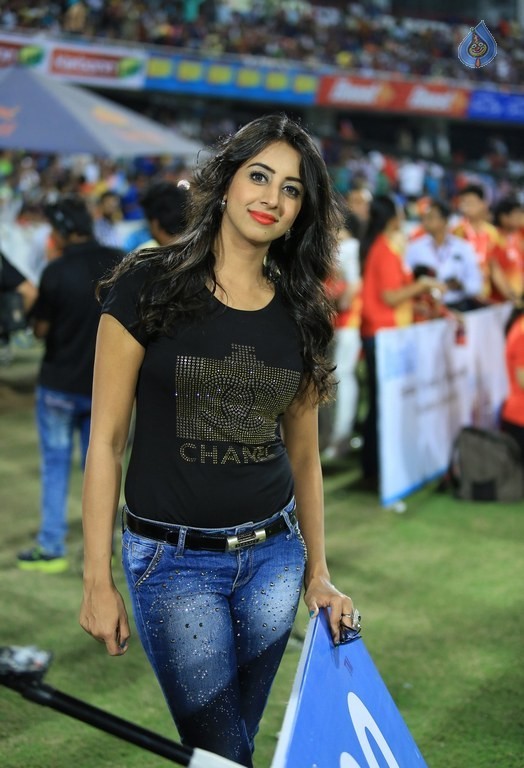 CCL 6 Karnataka Bulldozers Vs Telugu Warriors Final Match Photos - 10 / 122 photos