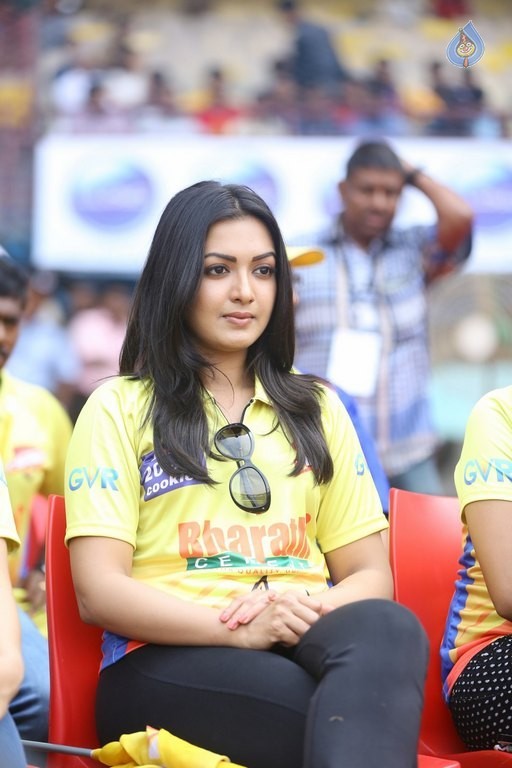 CCL 6 Telugu Warriors Vs Chennai Rhinos Match Photos - 16 / 126 photos