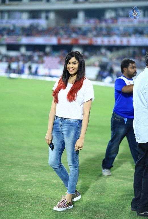 CCL 6 Telugu Warriors Vs Karnataka Bulldozers Match Photos - 33 / 63 photos