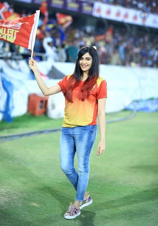 CCL 6 Telugu Warriors Vs Karnataka Bulldozers Match Photos - 42 / 63 photos