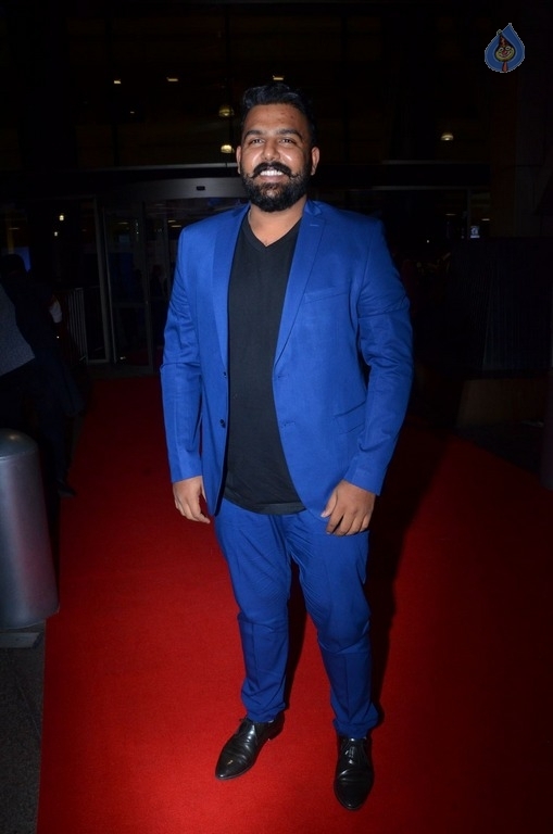 Celebrities at 64th Jio Filmfare Awards 2017 South 1 - 9 / 60 photos