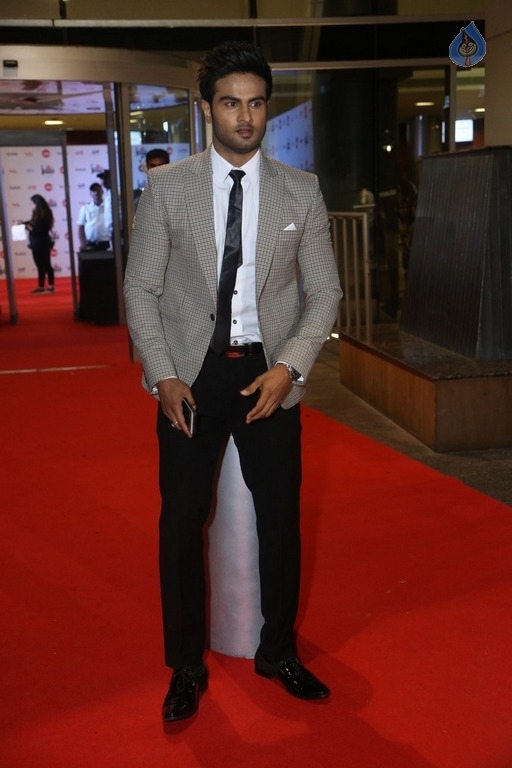 Celebrities at 64th Jio Filmfare Awards 2017 South 1 - 42 / 60 photos