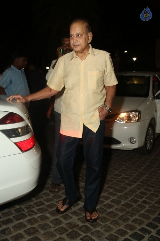 Celebrities at 64th Jio Filmfare Awards 2017 South 1 - 43 / 60 photos