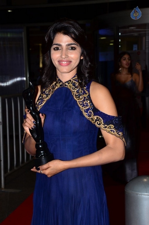 Celebrities at 64th Jio Filmfare Awards 2017 South 2 - 40 / 93 photos