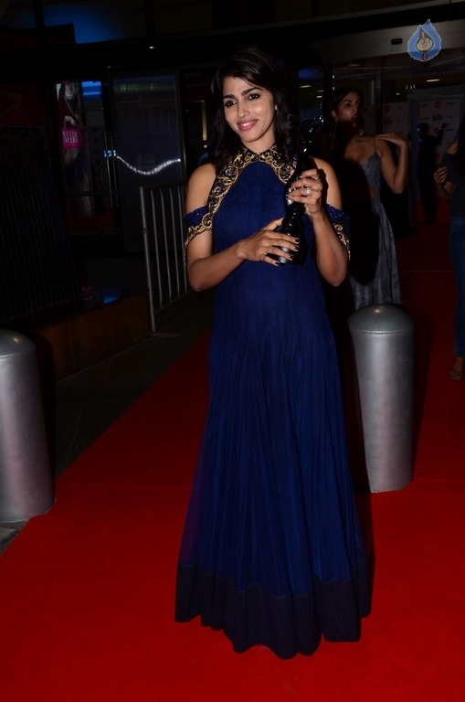 Celebrities at 64th Jio Filmfare Awards 2017 South 2 - 42 / 93 photos