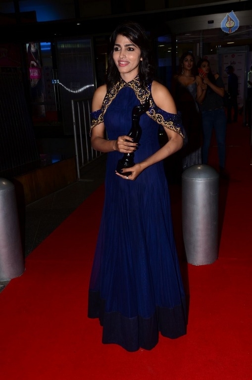 Celebrities at 64th Jio Filmfare Awards 2017 South 2 - 43 / 93 photos