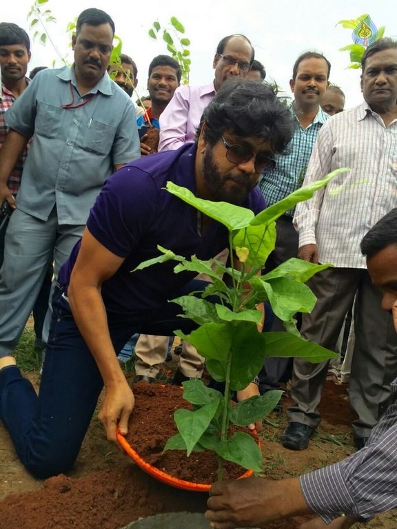 Celebrities at Haritha Haram Event - 8 / 42 photos