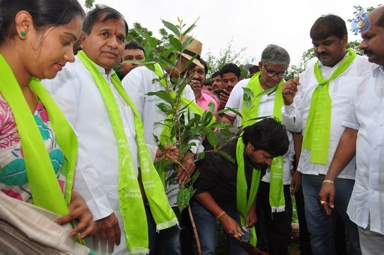 Celebrities at Haritha Haram Event - 35 / 42 photos