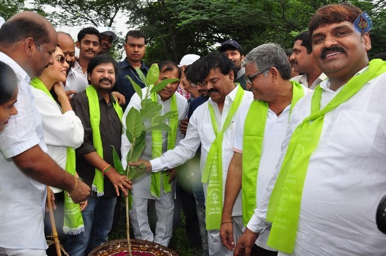 Celebrities at Haritha Haram Event - 37 / 42 photos