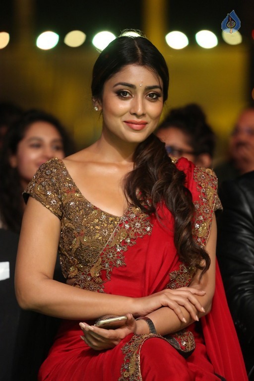 Celebrities at IIFA Utsavam Awards 2016 - 35 / 101 photos