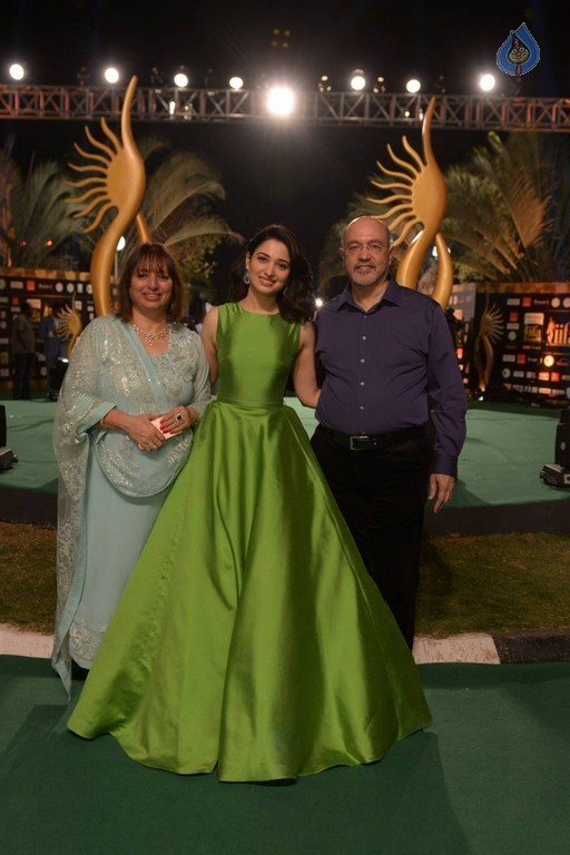 Celebrities at IIFA Utsavam Awards 2016 - 37 / 101 photos