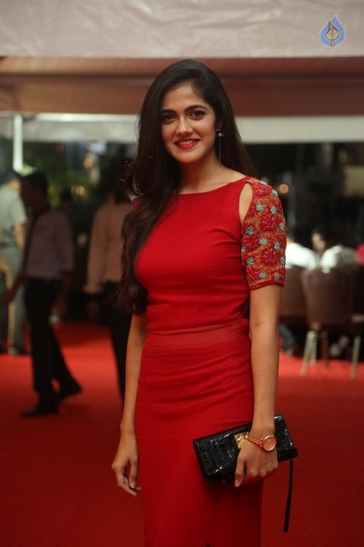 Celebrities at Mirchi Music Awards 1 - 14 / 64 photos
