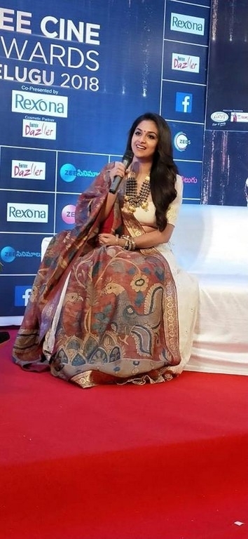 Celebrities at Zee Cine Awards 2018 - 23 / 34 photos