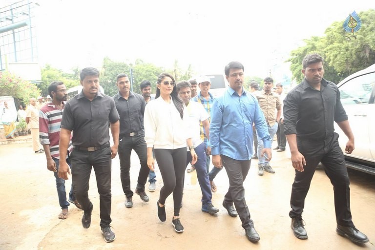 Celebrities Participates in Haritha Haram Program - 10 / 100 photos