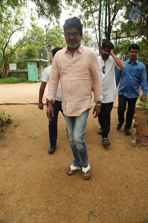 Celebrities Participates in Haritha Haram Program - 37 / 100 photos