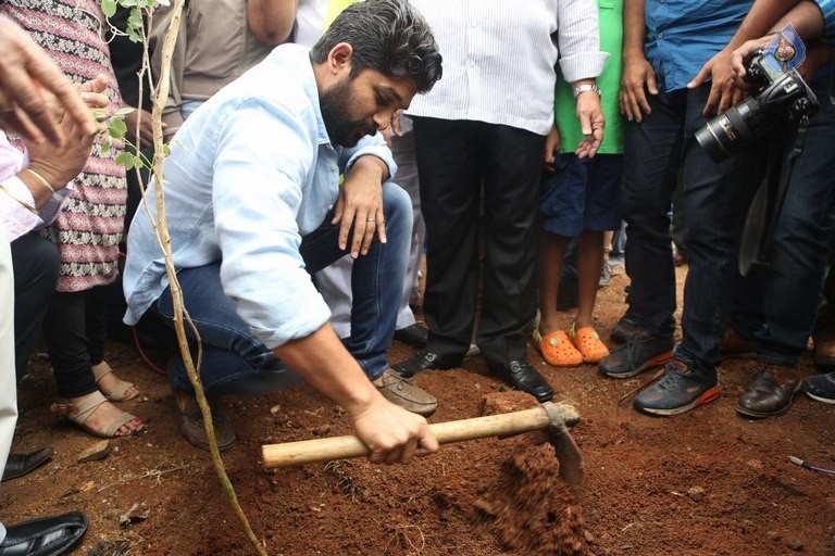 Celebrities Participates in Haritha Haram Program - 40 / 100 photos