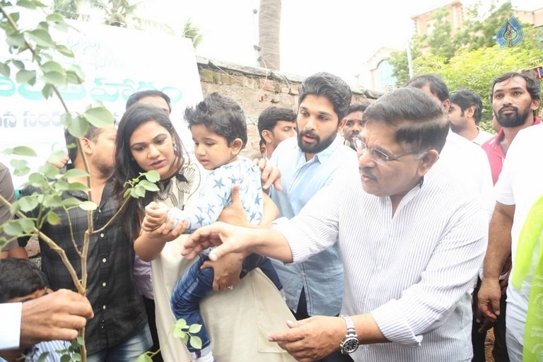 Celebrities Participates in Haritha Haram Program - 43 / 100 photos