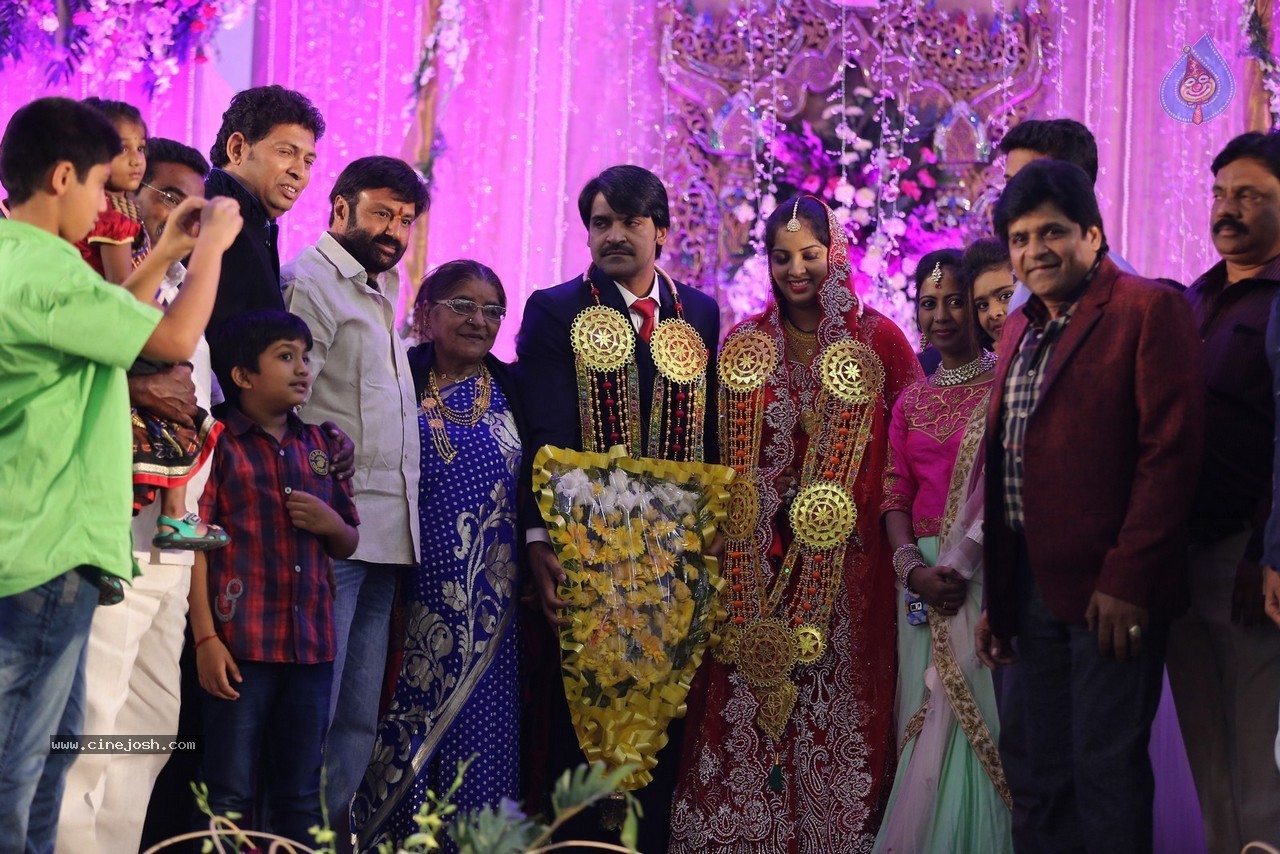 Celebs at Ali Brother Khayum Wedding Reception 03 - 36 / 165 photos