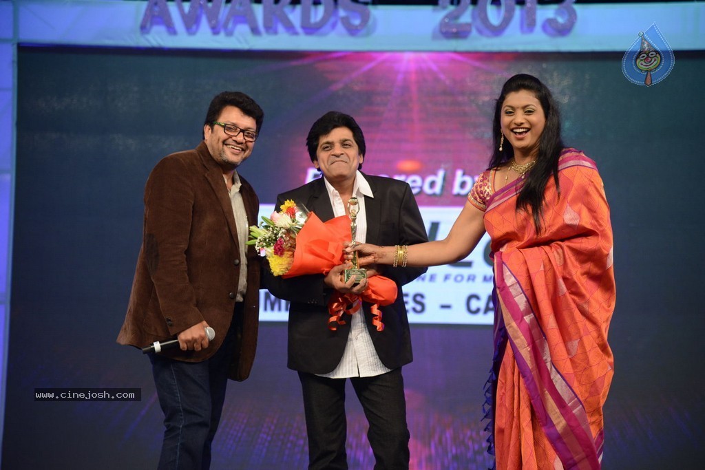 Celebs at Gama Awards 2013 - 25 / 321 photos