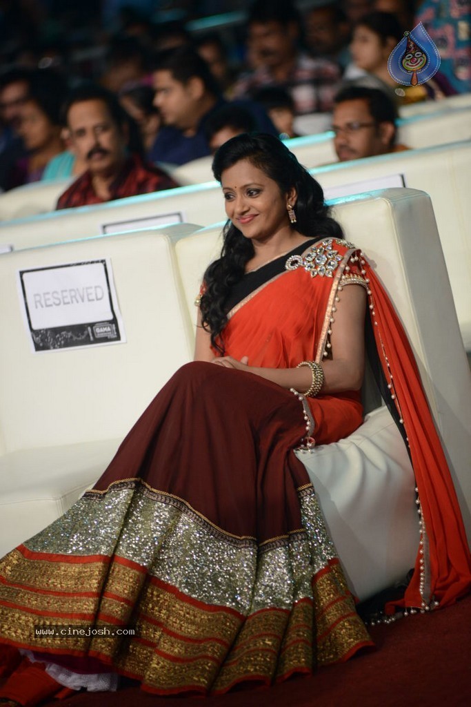 Celebs at Gama Awards 2013 - 31 / 321 photos