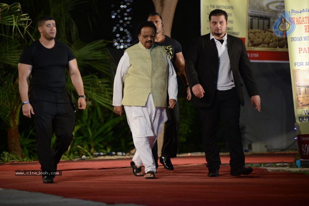 Celebs at Gama Awards 2013 - 61 / 321 photos