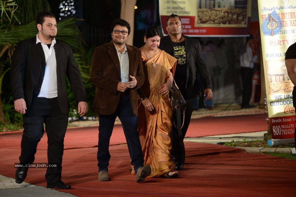 Celebs at Gama Awards 2013 - 130 / 321 photos