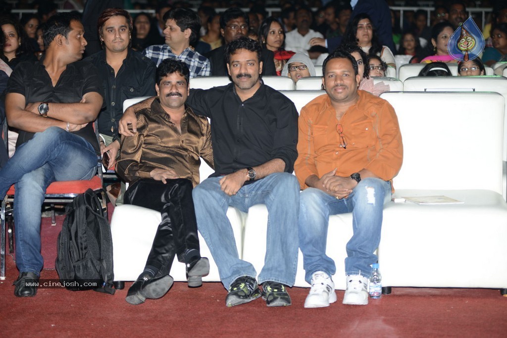 Celebs at Gama Awards 2013 - 133 / 321 photos