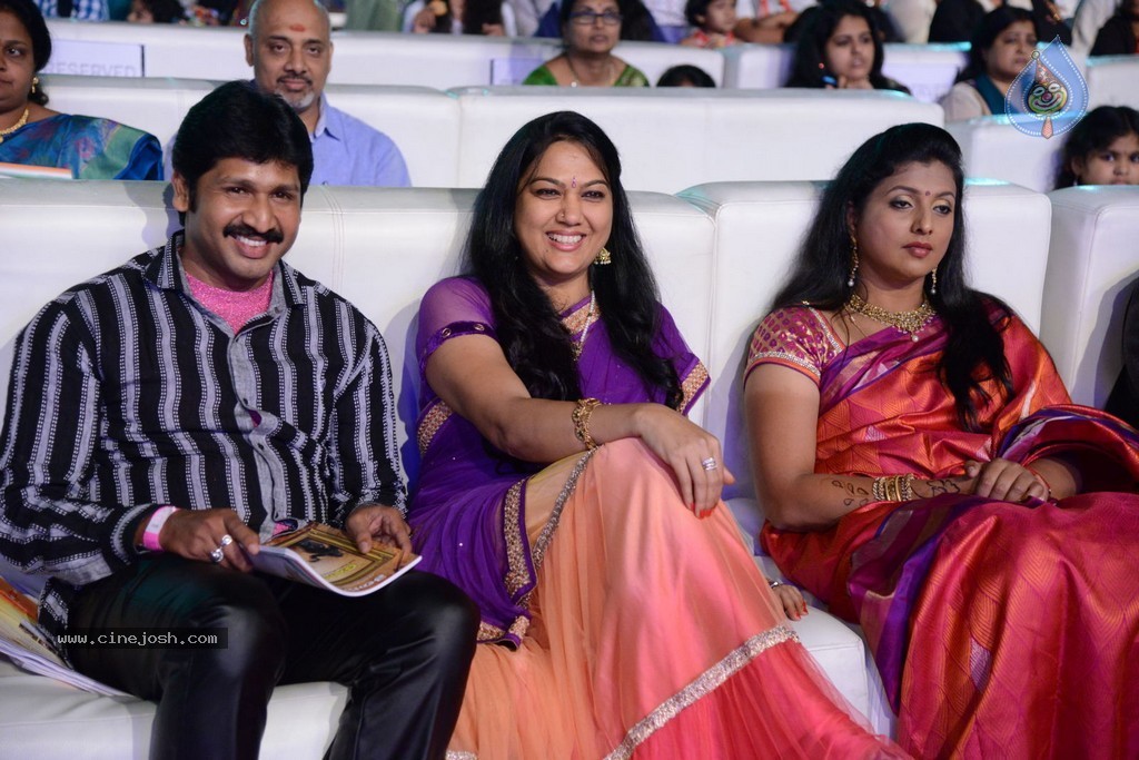 Celebs at Gama Awards 2013 - 156 / 321 photos