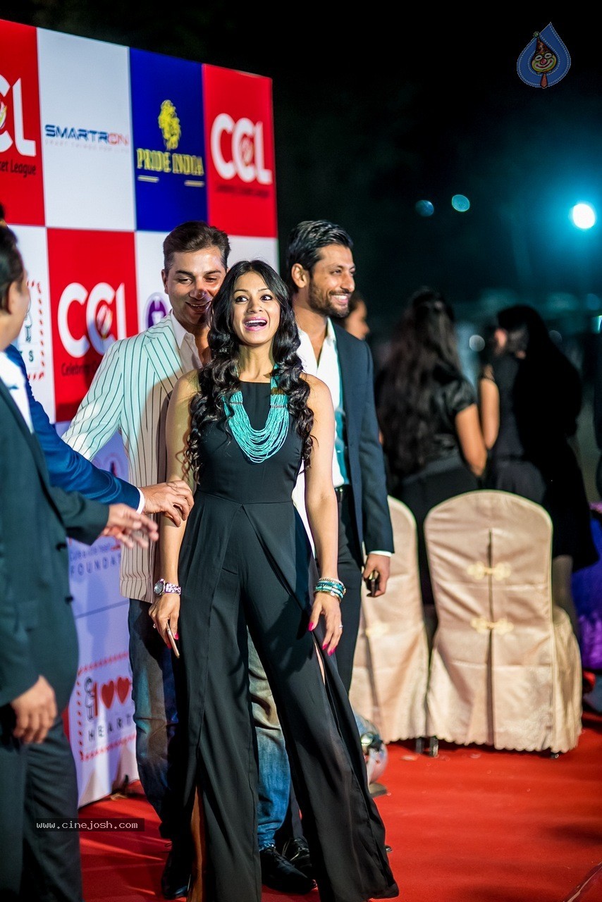 Celebs at Hundred Hearts Glamorous Charity Dinner 01 - 24 / 105 photos