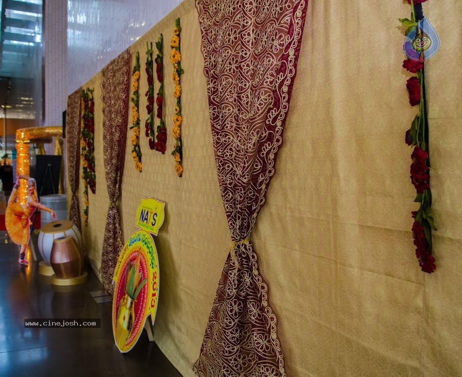 Celebs at NATS 2013 Telugu Sambaralu- Day 1 - 13 / 140 photos