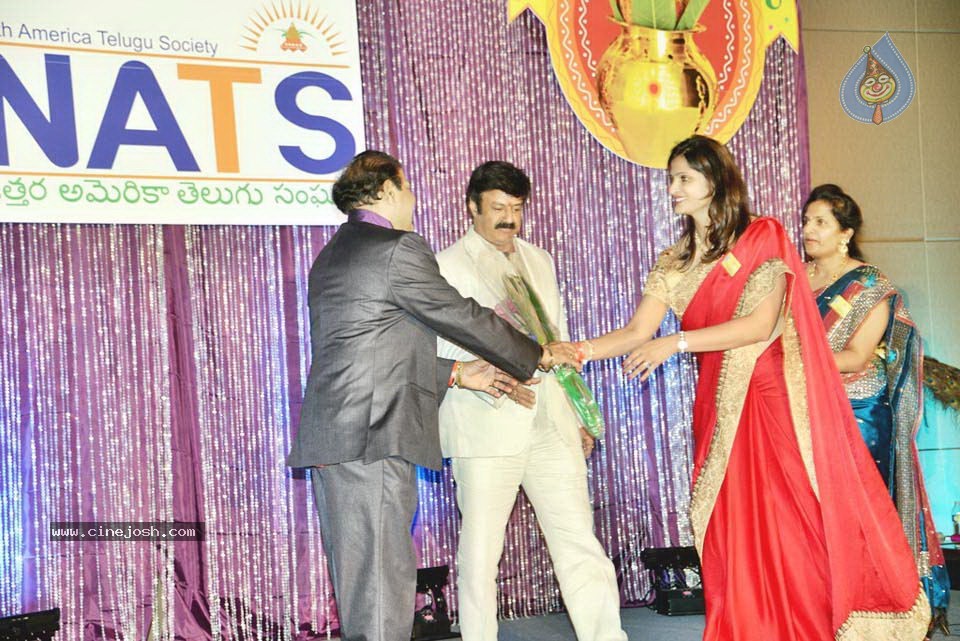 Celebs at NATS 2013 Telugu Sambaralu- Day 1 - 35 / 140 photos