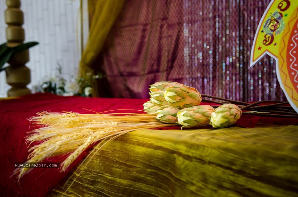 Celebs at NATS 2013 Telugu Sambaralu- Day 1 - 37 / 140 photos