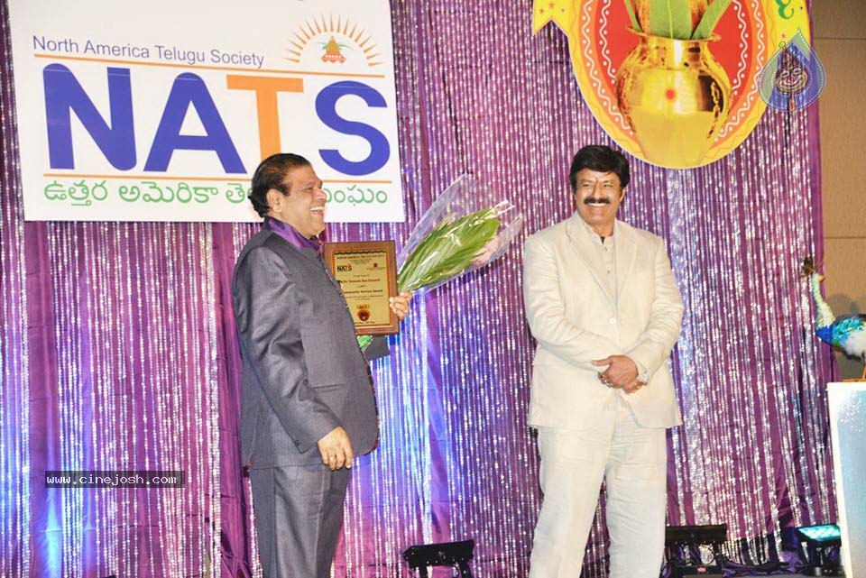 Celebs at NATS 2013 Telugu Sambaralu- Day 1 - 47 / 140 photos