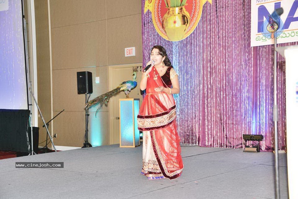 Celebs at NATS 2013 Telugu Sambaralu- Day 1 - 83 / 140 photos