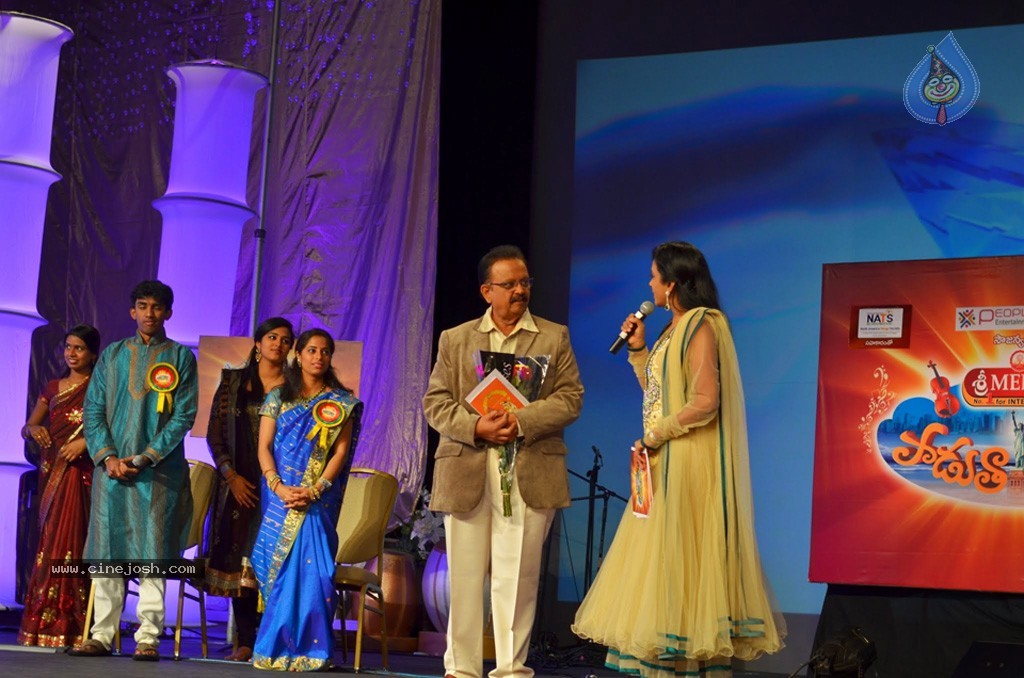 Celebs at NATS 2013 Telugu Sambaralu- Day 3 - 23 / 99 photos