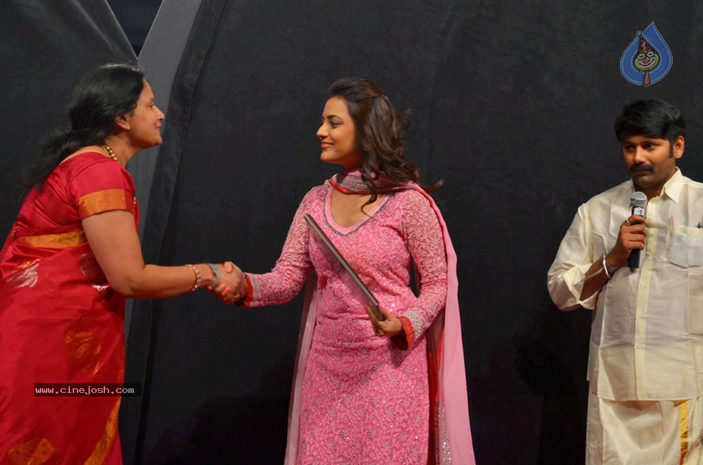 Celebs at NATS 2013 Telugu Sambaralu- Day 3 - 24 / 99 photos