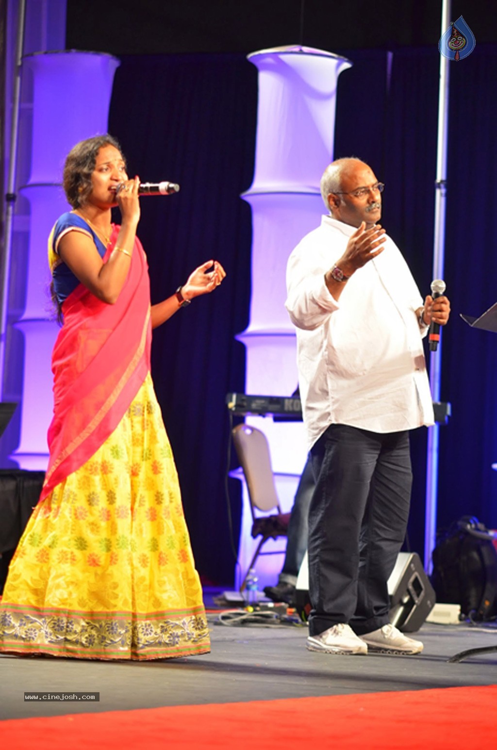 Celebs at NATS 2013 Telugu Sambaralu- Day 3 - 33 / 99 photos