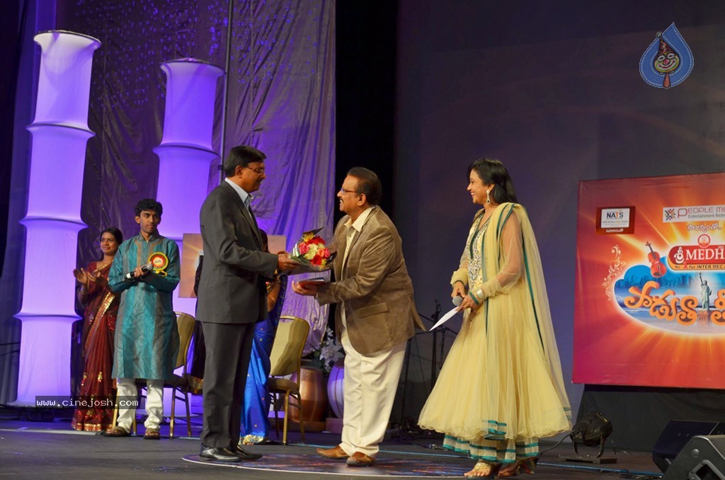 Celebs at NATS 2013 Telugu Sambaralu- Day 3 - 35 / 99 photos