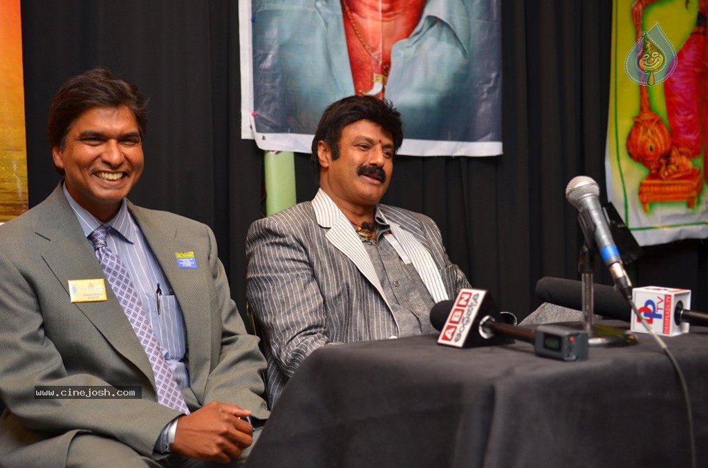 Celebs at NATS 2013 Telugu Sambaralu- Day 3 - 37 / 99 photos