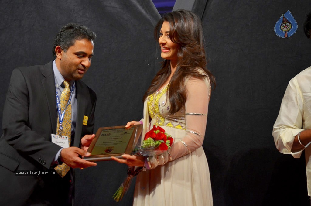 Celebs at NATS 2013 Telugu Sambaralu- Day 3 - 64 / 99 photos