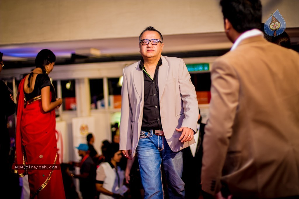 Celebs at SIIMA 2014 - 29 / 431 photos