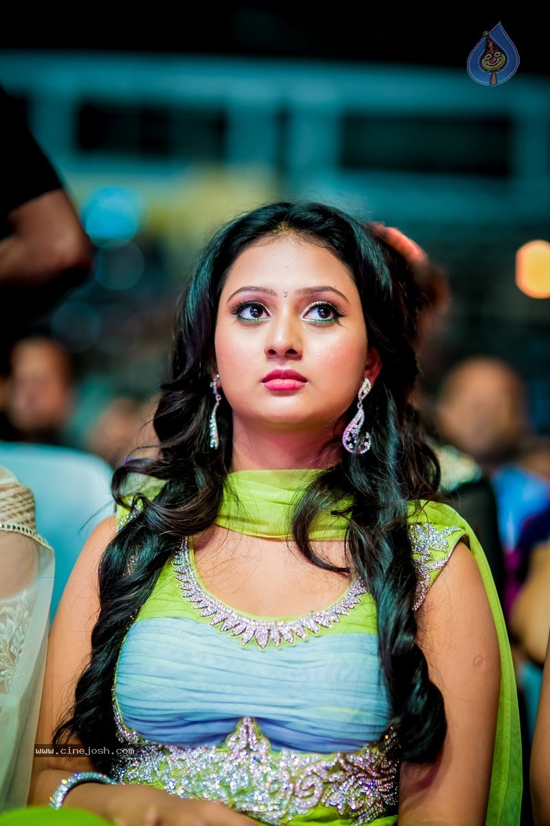 Celebs at SIIMA 2014 - 37 / 431 photos