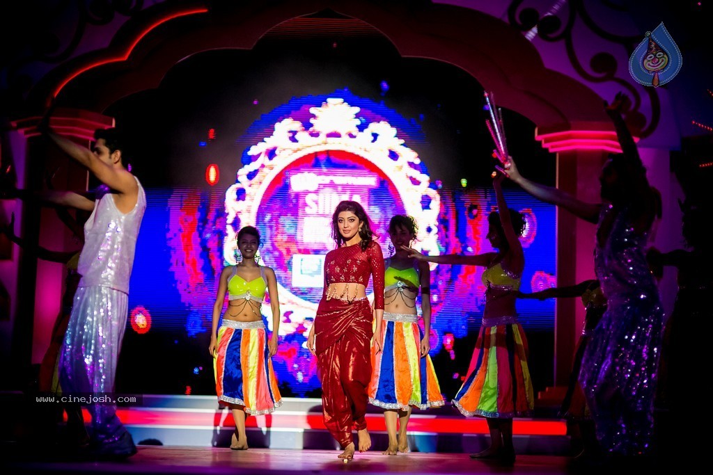 Celebs at SIIMA 2014 - 63 / 431 photos