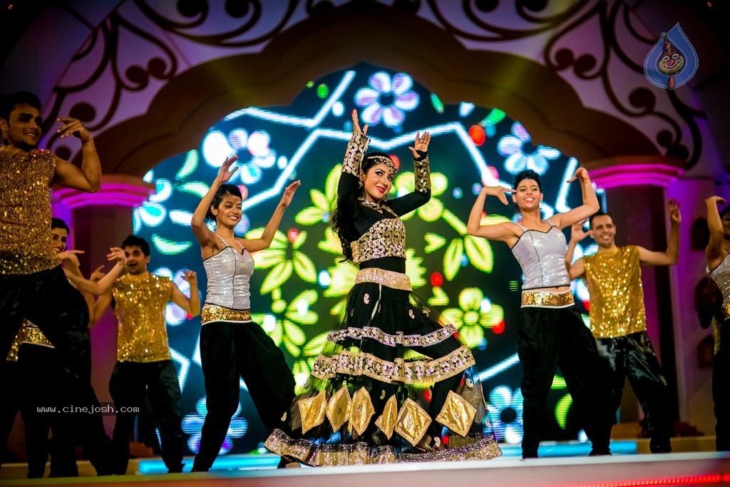 Celebs at SIIMA 2014 - 77 / 431 photos