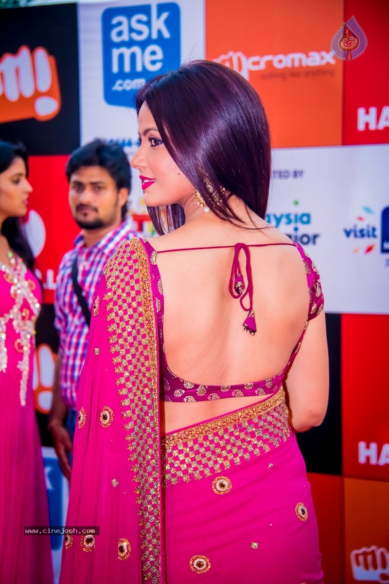 Celebs at SIIMA 2014 - 82 / 431 photos