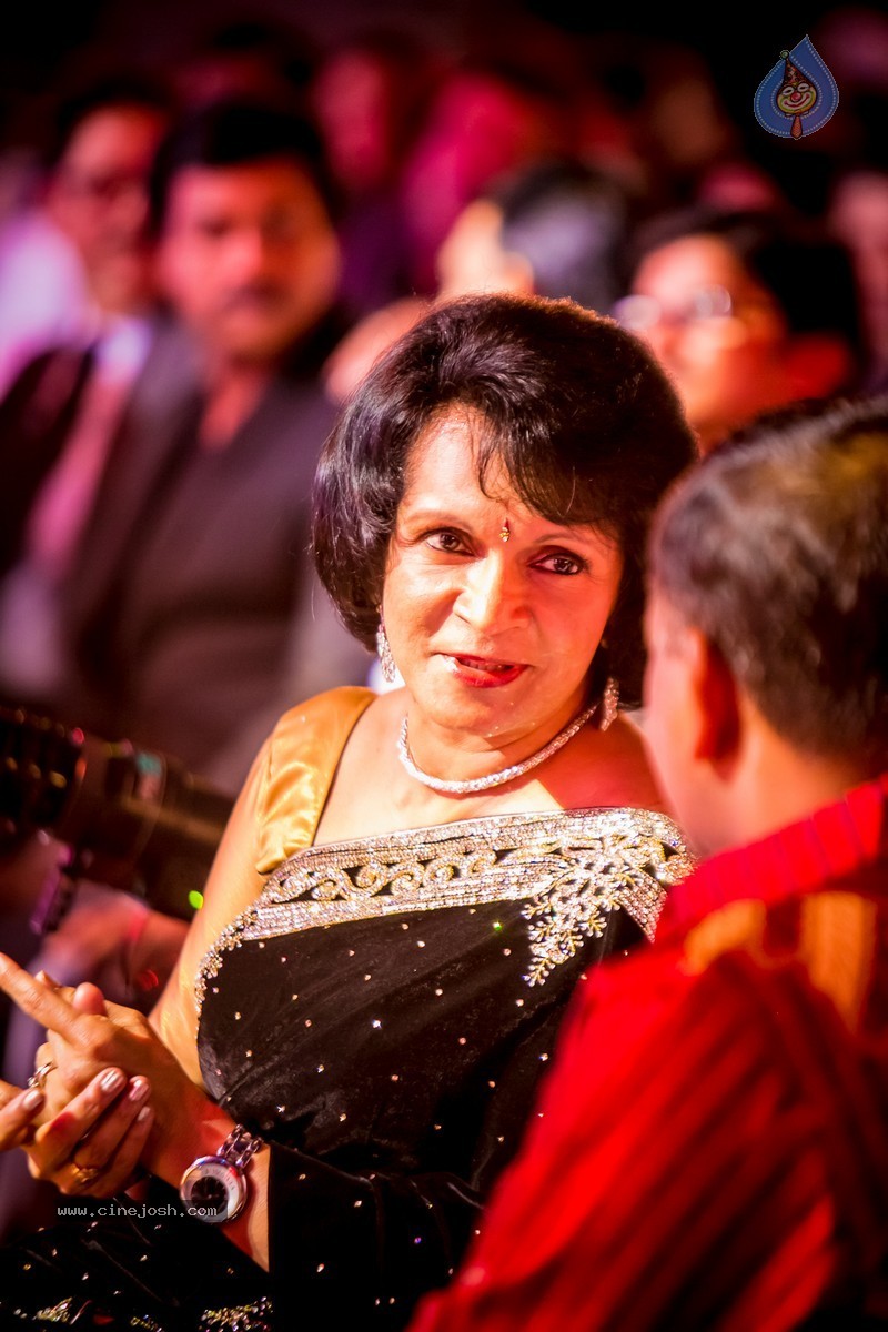 Celebs at SIIMA 2014 - 112 / 431 photos